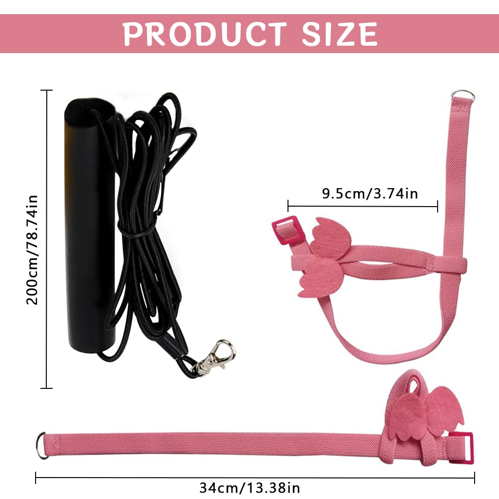 Qpets Pet Parrot Harness Bird Harness and Elastic String Mini Lightweight Outdoor Harness for Pet Birds, Parrot Adjustable Belt for Bird Quick Release Strap Design Pet Parrot Supplies, M Qpets Pet Parrot Harness Bird Harness and Elastic String Mini Lightweight Outdoor Harness for Pet Birds, Parrot Adjustable Belt for Bird Quick Release Strap Design Pet Parrot Supplies, M
